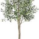 YOLEO Artificial Olive Tree 6FT Tall Faux Silk Plant for Home Office Indoor Decor Fake Olive Tree with Lifelike Olive Leaves