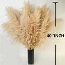 10 PCS 40" Tall Pampas Grass Stems in Natural Beige, Add a Boho Touch to Your SpacePompas Grass Ideal for Floral Arrangements, Floor Vases, Weddings, and Creating a Bohemian Ambiance at Home.