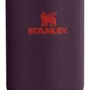 Stanley IceFlow Flip Straw Tumbler with Handle 30 oz | Twist On Lid and Flip Up Straw | Leak Resistant Water Bottle | Insulated Stainless Steel |BPA-Free | Plum