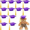 12 Pcs Mini Graduation Cap with Tassel Mini Plush Mason Jar Small Animal Bachelor Hat Photo Prop Party Supply 4.33 x 4.33 Inch