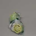 SEVENKA 2 PCS Catnip Toys Self-Grooming Cat Brush with Catnip Ball & Gall Fruit, Kitty Kitten Scratcher Self Groomer Cat Toys for Indoor Cats Lick, Chew Toys Corner Brushes Edible Wall Treats