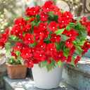 Daynight 8 Pcs Artificial Impatiens Flowers for Outdoor Flowers UV Resistant Faux Red Flowers Impatiens Bushes Silk Artificial Flowers Bouquet for Patio Garden Porch Decor. (8, Red)