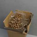 ROSELEAF 28 Pack Christmas Tree Ornaments Set, Champagne Artificial Glitter Berry Flowers Stem Branches Picks for Xmas Tree Decoration Gift Small Vase Home Holiday Wedding Party Decor