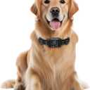 Furthrive GPS Dog Collar, Wireless Dog Fence 1003280 ft Circular Boundary, Waterproof GPS Dog Collar System Outdoor with Beep, Vibration & Adjustable Training