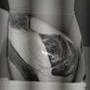 SAHEYER Side Sleeper Pillow with Arm Holes, 2 in 1 Shoulder Relief System for Rotator Cuff Pain, Memory Foam Pillow for Adults with 3 Arm Place Hole - for Side, Back and Stomach, Black