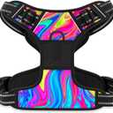 Rnivvi No Pull Dog Harness, Cute Reflective Large Sized Puppy Harness, Adjustable Soft Padded Vest for Large Dogs, Heavy Duty Pet Vest with Easy Control Handle for Walking Training, Rainbow Art, L