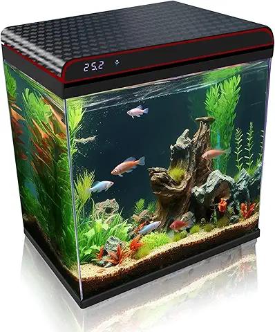 Aquariums, Betta Fish Tank, 10 Gallon