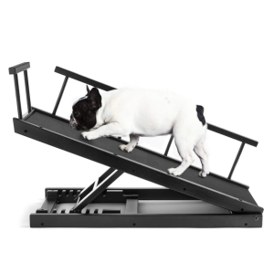 Chasing Tails Dog Ramp for Bed - Pet Ramp for Small/Large Dogs, Paw Ramp for Dogs and Cats, Adjustable Height from 10 to 20 Inches - Sturdy, with Side Rails for Additional Safety