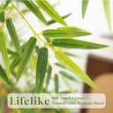 Artificial Bamboo Tree, Fake Bamboo Plant 5FT Tall with 6 Natural Real Bamboo Trunks, Artificial Tree Indoor Decor Faux Silk Tree for Home Office Living Room Modern Decor