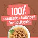 Purina Friskies Extra Gravy Wet Cat Food Chunky 24ct Variety Pack (With Chicken, Turkey, Salmon, Beef) - (Pack of 24) 5.5 oz. Cans (EXP 03/01/28)