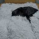 Active Pets Premium Medium Donut Dog Bed, Fits Up to 45 lbs, Removable Cover & Washable Cushion, Plush Long Pile Faux Fur Fabric, Portable Beige Pet Bed Furniture for Puppies Adult Canines & Cats (Light Grey)