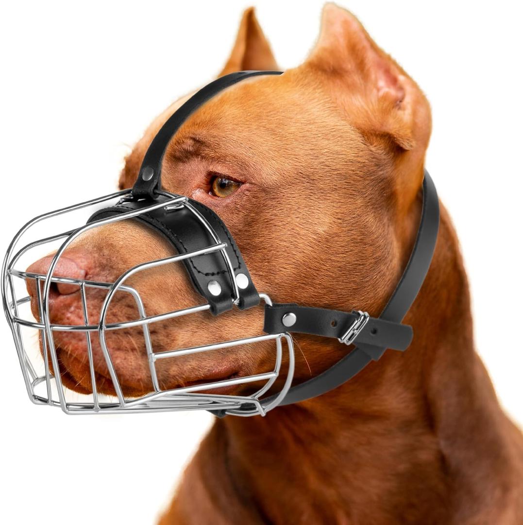 Large Pitbull Muzzle to Prevent Biting - Metal Basket Muzzle for Pitbull with Adjustable Leather Straps - Cage Dog Muzzle for Large Sized Dogs Pitt Bull, Cane Corso, American Bully