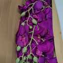 38 Inch Purple Flowers Faux Orchid 6 PCS Orchids Artificial Flowers Velvet Flowers Long Stem Artificial Flowers for Tall Vase for Home Wedding Decoration(Dark Purple)