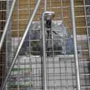 Humane Rat Trap, Large 2-Door Mouse Traps That Work for Indoor Home and Outdoor, Small Rodent Chipmunk Squirrel Trap and Other Live Animal Cage Catch and Release (silver-1pack)