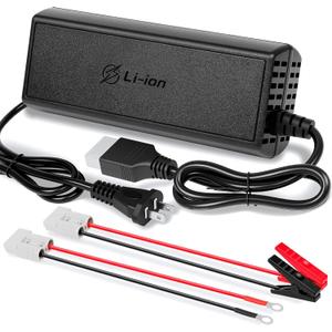 20A 12V LiFePO4 Battery Charger, 14.6V Lithium Battery Charger with M8 Terminals & Alligator Clips, Fast Charging, Over-Current and Over-Voltage Protection for 12V Lithium Iron Phosphate Batteries