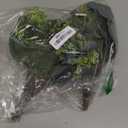 Apexom 64 PCS Artificial Greenery Stems, Silver Dollar Eucalyptus Stems with 384 Eucalyptus Leaves White Seed Branches for Flower Arrangements, Wedding Bouquets