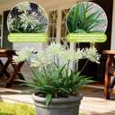 Outdoor Artificial Flowers for Porch 18.9 in Fake Plants 8 Bundles Plastic White Flower Large Faux Greenery for Outside Planter Yard Patio Decor