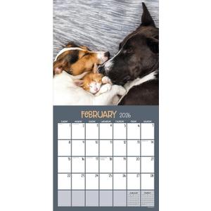 TF Publishing 2026 Furry Friends Wall Calendar - Large Grids for Appointments and Scheduling - Vertical Monthly Wall Calendar 2026 with Premium Gloss Paper for Home and Office Organization - 12x12in