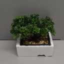 Artificial Bonsai Tree Juniper Faux Plants Indoor Small Fake Plants Decor with Ceramic Pots for Home Table Office Desk Bathroom Shelf Bedroom Living Room Farmhouse Decorations