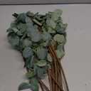 6 Pcs 27" Eucalyptus Stems Greenery Stems Eucalyptus Leaf Spray in Green Silk Plastic Plants Floral Artificial Plants for Home Party Wedding Decoration