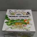 Grow Forward Premium Wheat Straw Plates and Bowls Sets - 8-Piece Wheat Straw Dinnerware Sets - Unbreakable & Reusable Microwave Safe Plastic Dinner Plates for Outdoors, RV, Camping Dishes - Feather