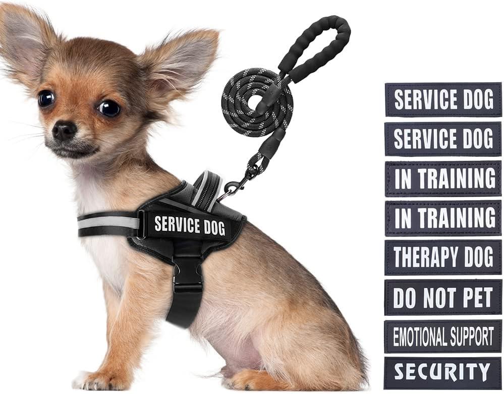 Service Dog Vest Harness and Leash Set, Animire in Training Dog Harness with 10 Dog Patches, Reflective Dog Leash with Soft Padded Handle for Dogs,  (Black,S)