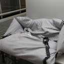 Dog Car Seat for Large Dogs, Dog Booster Seat Under 80lbs or 2 Small Dogs, Detachable Pet Seat with Safety Belt, Non-Slip Base, and Storage Pockets for Car Travel (Navy)