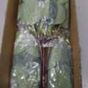 120 Pcs 3 Kinds Mixed Artificial Eucalyptus Leaves Stems Fake Silver Dollar Eucalyptus Leaves Stem Bulk Faux Leaf for DIY Bouquets Floral Arrangement Wedding Home Decor