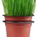 Oubest Plastic Plant Nursery Pots 6" 100 pcs Reusable for Seed Starting Seedlings Cuttings Transplanting Flower Plant Pots