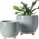 LE TAUCI Ceramic Plant Pots, 5.1 + 6.4 Inch Footed Pots for Plants, Modern Flower Pots for Home and Office, Indoor Planters with Drainage, Reactive Glaze Gray