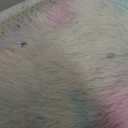 Noahas 5x8 Fluffy Rainbow Rug for Girls Bedroom,Soft Rainbow Room Rug,Shaggy Area Rugs for Living Room,Fuzzy Colorful Playroom Nursery Rugs Room Decor