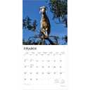 BrownTrout, Goats in Trees 2026 Wall Calendar