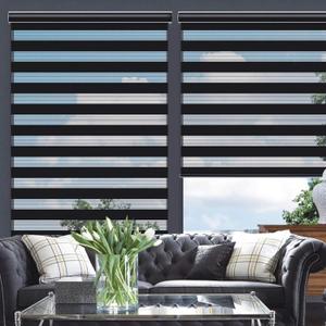 Changshade Cordless Zebra Blinds for Windows, Modern Dual Layer Zebra Blinds with Light Filtering & Privacy Control,Easy Install Zebra Blinds for Indoor Windows,33" W64" H,Black