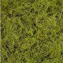 1 lb Bag Preserved & Dyed Chartreuse Spanish Moss (0905317175)