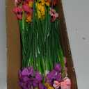 24 Bundles Artificial Flowers for Outdoor Indoor Garden Home Decoration, Plastic Flowers Decoration,Artificial Plants for Indoor Outside Garden Home Wedding Farmhouse (Mix 6 Color)