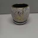 Ceramic Plant Pots for Plants Indoor 5.3 Inch Round Gold and White Flower Pot Gilded Decorative Planter with Drainage Hole and Saucer Modern Ceramic Pot for Succulents Orchids Cactus Herbs Home Decor