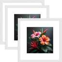 24X24 Frames, Square Picture Frame 24 by 24, White Matted Frames, Wood Photo Frame 24 x 24, Display Picture 20x20 with Mat or 24 x 24 without Mat, 3 Pack Wall Mounting Poster Frame