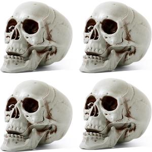 Sratte 4 Pcs Halloween Human Skull Model Adult Plastic Skull Decor Fake Head Decorations Realistic Head Bone Model Human Skeleton Statue (5.1 Inch)