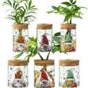 Christmas Vase, Christmas Themed Propagation Stations, Glass Propagation Vases for Plants, Cuttings, Desktop Planter Vase for Home & Office Decor, Set of 6 (3 Large & 3 Small)