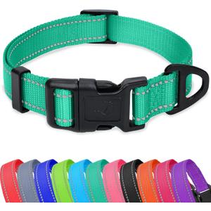 Taglory Reflective Adjustable Dog Collars for Puppy Small Medium Large Dogs, Thin Nylon Webbing and Quick Release Plastic Buckle(Teal Green, X-Large) (XL(1.25"x18-28"))