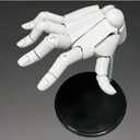 Hand Model, Adjustable Hand Model for Drawing, Lively Manikin Figure Hand Model for Desk Decoration, Sketching, Drawing, Painting (Right Hand-White)