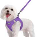 Rabbitgoo Dog Harness Small Sized and Leash Set, Step in Soft Light Puppy Vest, Breathable Mesh Pet Harness, Reflective for Safe Outdoor Walking, Purple M