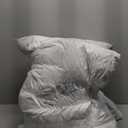 MIULEE 26x26 Euro Pillow Inserts,Set of 2 Down Feather Throw Pillows for Couch Sofa Bed, Decorative Fluffy Throw Pillow Inserts Cotton Fabric,White