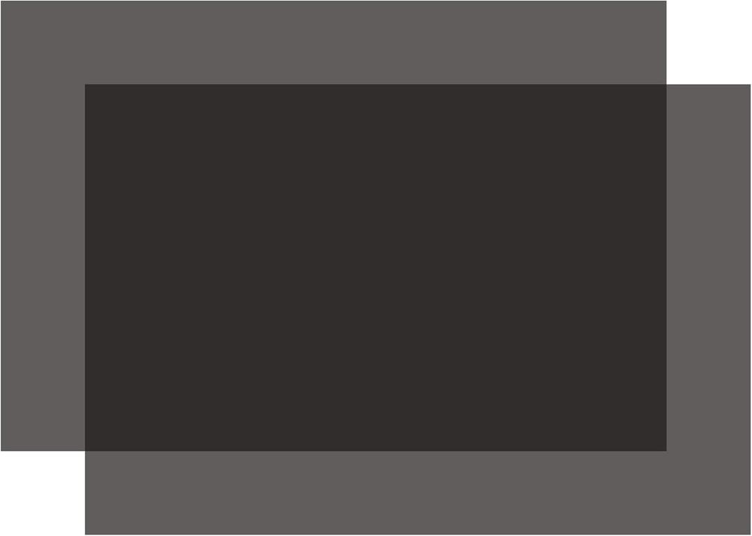 Selens Linear Polarizing Film A4 7.8x11.8 inch Non-Adhesive Polarized Film Sheets for Physics Education, Photography, Screen, Experimental, 2Pcs