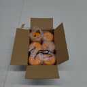 6-Pack Halloween Pumpkin Lantern, Collapsible Jack O Lantern Pumpkins with Lanyard  Light up Pumpkin for Halloween Party Favors, Outdoor Party Decoration, Haunted House & Tabletop Decor