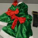 Christmas Costume for Girls Santa Claus Outfit for Girls Mrs Claus Dress With Xmas Hat (3-5 Years, Green)