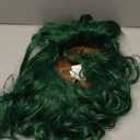 Willy Wonka and the Chocolate Factory: Oompa Loompa Wig for Kids by Rubies, No Size