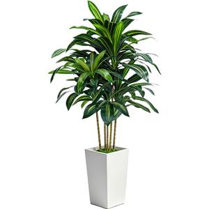 5FT Artificial Dracaena Tree, Large Fake Dracaena Tree Indoor with White Tall Planter and Fake Moss, Faux Yucca Trees Floor Plant in Pot for Living Room Office Indoor Home Decor