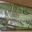 FOREST PRINCE 35" Ferns Artificial Bush Plants Large, 2 Artificial Boston Ferns with 39 Fronds for Outdoors Home Decor