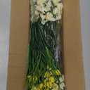 Artificial Flowers for Outdoor Indoor 10 Bundles Fake Daffodil Flowers Plant UV Resistant Realistic Faux Plants for Home Outside Garden Porch Window Box Balcony Yard Porch Fall Decor (White+Yellow)